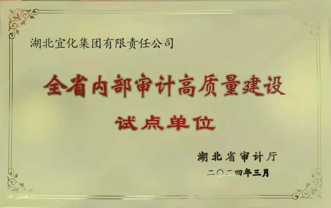 宜化集團(tuán)獲評全省內(nèi)部審計高質(zhì)量建設(shè)試點單位(圖2)